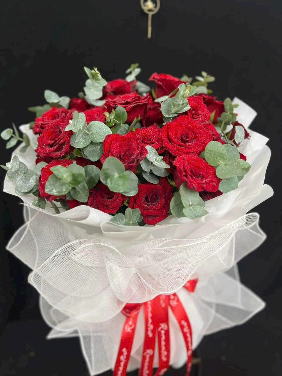 Bó Hoa Hồng Đỏ Xin Lỗi Em - CM20