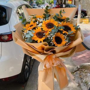 Hoa Hướng Dương – HD8
