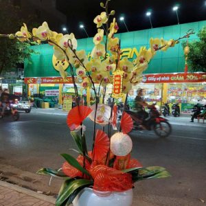 Hoa Lan Hồ Điệp – LHĐ13