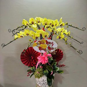 Hoa Lan Hồ Điệp - LHĐ8