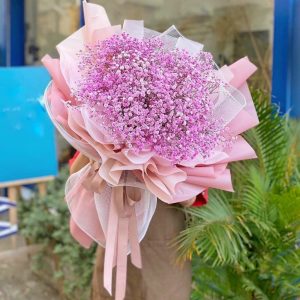 Hoa Baby Hồng Phấn Nhẹ Nhàng – BB10