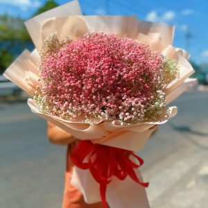 Hoa Baby Nắng Hồng Sang Chảnh – BB1