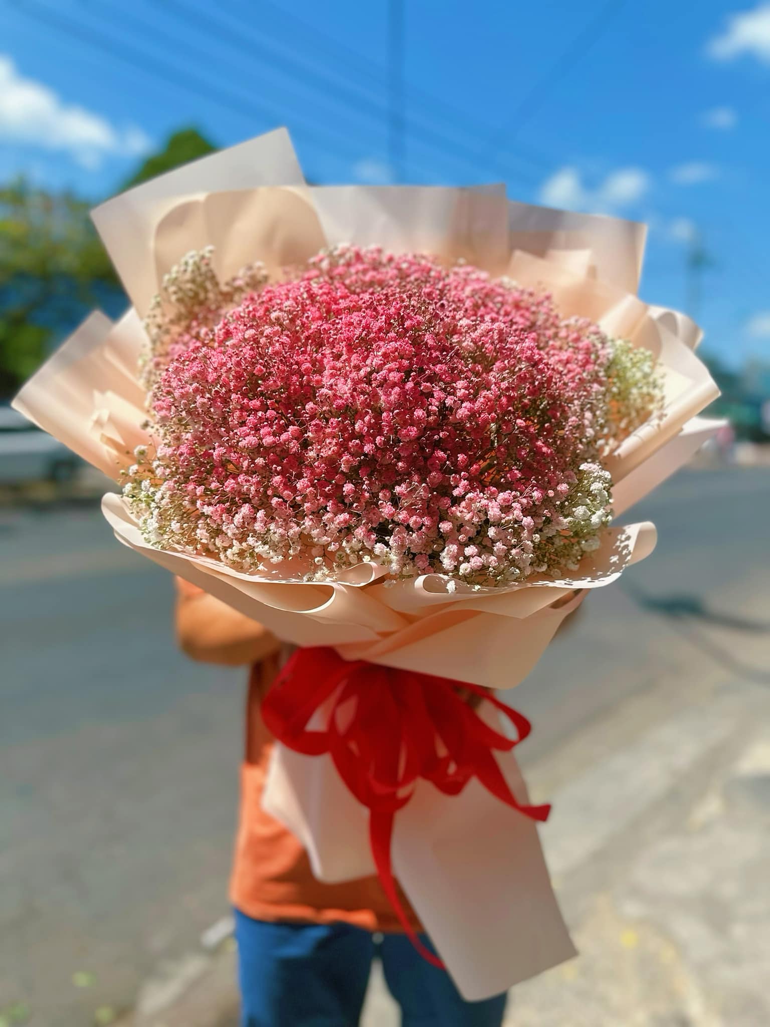 Hoa Baby Nắng Hồng Sang Chảnh – BB1