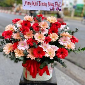 Giỏ Hoa Đồng Tiền May Mắn – GH151