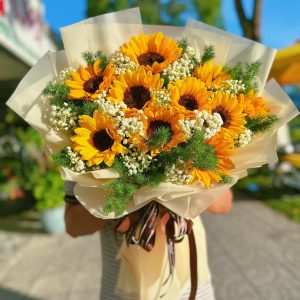 Hoa Hướng Dương – HD38