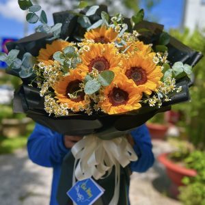 Hoa Hướng Dương – HD37