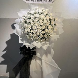 Kệ Hoa Tang - HT72