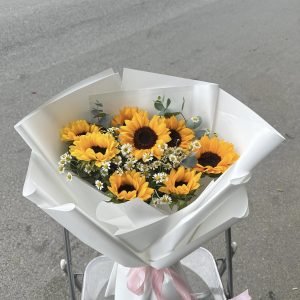 Hoa Hướng Dương-HD23