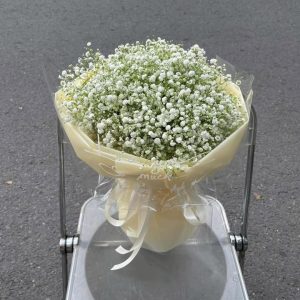 Hoa Baby Tinh Yêu Thuần Khiết - BB12