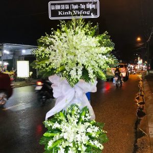Kệ Hoa Tang - HT43