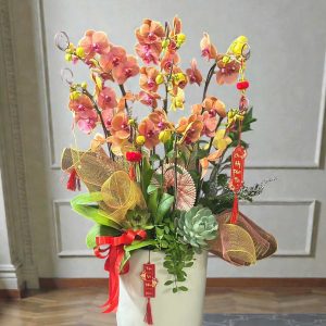 Hoa Lan Hồ Điệp – LHĐ35