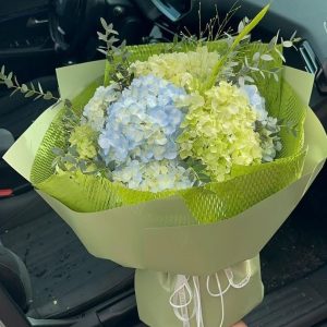 Bó Hoa Cẩm Tú Xanh Thanh Mát - CM78