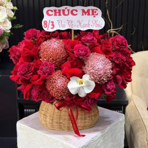Giỏ Hoa Cúc Mẫu Đơn Đỏ Cao Cấp – GH145