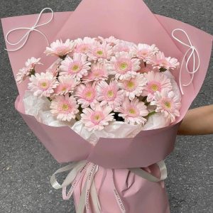 Bó Đồng Tiền Tone Hồng PastelTinh Tế – CM245