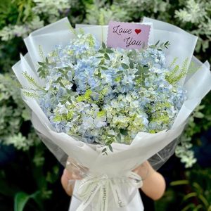 Bó Hoa Cẩm Tú Cầu Ocean Blue - CM119