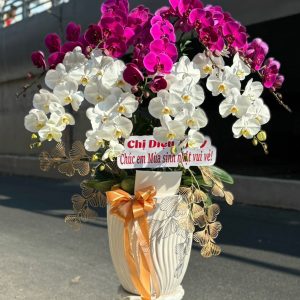 Hoa Lan Hồ Điệp – LHĐ2