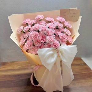 Bó Hoa Cẩm Chướng Pastel Phong Cách Hàn Quốc – CM169