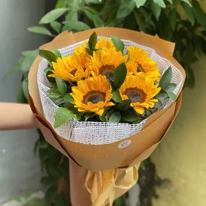 Hoa Hướng Dương - HD18