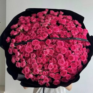 Bó Hoa Hồng Sofia Hồng Đậm Kiêu Sa – CM257
