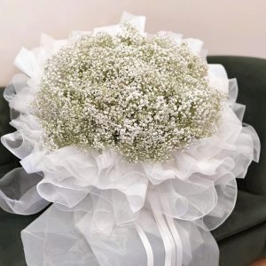 Bó Baby Trắng Công Chúa - BB29